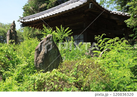 群馬県館林市の茂林寺の風景 120836320