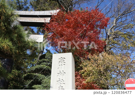 秋の神社 120836477