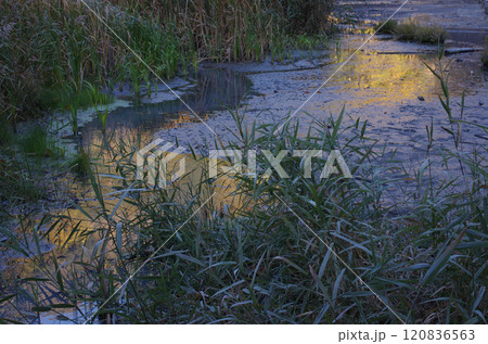 奥日光。秋色に輝く山々は暖かく、澄みきった青空が大宇宙に広がっていた。至福の時。 120836563
