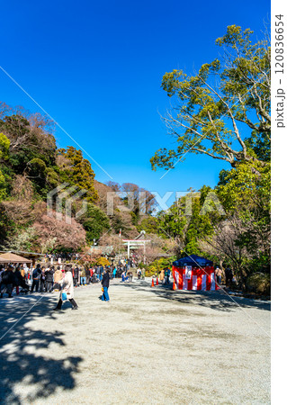 【神奈川県】綺麗な青空が広がる鎌倉宮の正月 【神奈川県】綺麗な青空が広がる鎌倉宮の正月 120836654