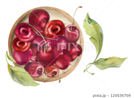 Sweet sour red cherry berries on ceramic plate, hand drawn in watercolor, ripe cerise with leaves, stems. Isolated composition illustration. For restaurant, cafe dessert menu, wedding, farmers market Sweet sour red cherry berries on ceramic plate, hand drawn in watercolor, ripe cerise with leaves, stems. Isolated composition illustration. For restaurant, cafe dessert menu, wedding, farmers market 120836709