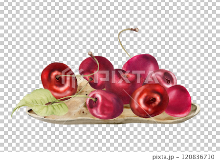 Sour sweet red cherry berries on ceramic plate, hand drawn in watercolor, ripe cerise with leaves, stems. Isolated composition illustration. For restaurant, cafe dessert menu, wedding, farmers market Sour sweet red cherry berries on ceramic plate, hand drawn in watercolor, ripe cerise with leaves, stems. Isolated composition illustration. For restaurant, cafe dessert menu, wedding, farmers market 120836710
