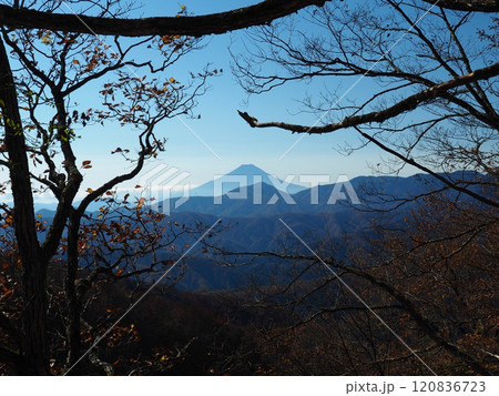 【山の風景】東京都＆埼玉県＆山梨県・雲取山登山・富士山の眺望 120836723