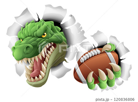 Crocodile Dinosaur Alligator Football Sport Mascot 120836806
