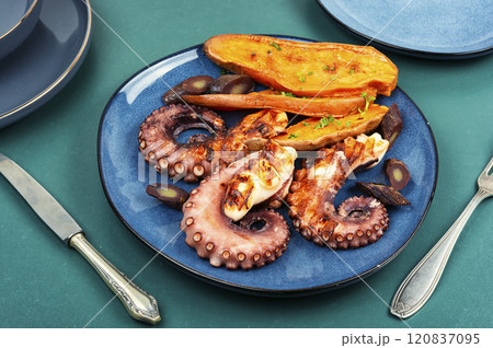 Summer barbecue with octopus. Summer barbecue with octopus. 120837095