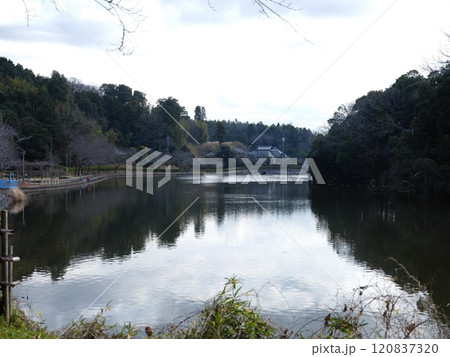 坂田ケ池総合公園 坂田ケ池総合公園 120837320