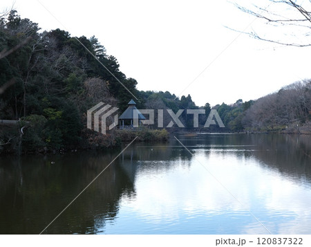坂田ケ池総合公園 坂田ケ池総合公園 120837322
