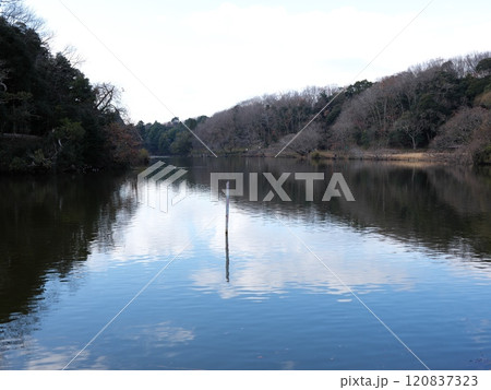 坂田ケ池総合公園 120837323