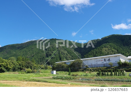 ふもとから眺める獅子吼高原　石川県白山市 120837683