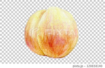 用色鉛筆畫的桃子 120838140