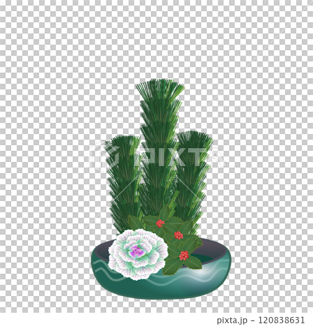 New Year's flower illustration New Year's flower illustration 120838631