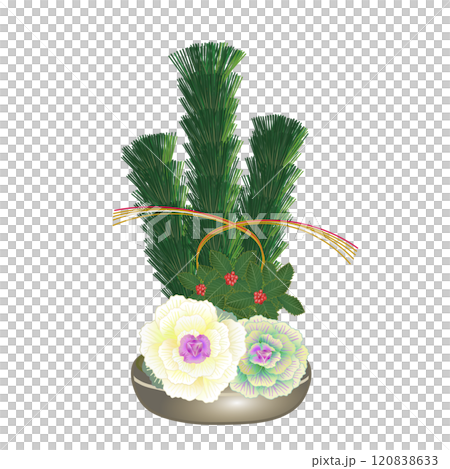 正月花のイラスト 120838633