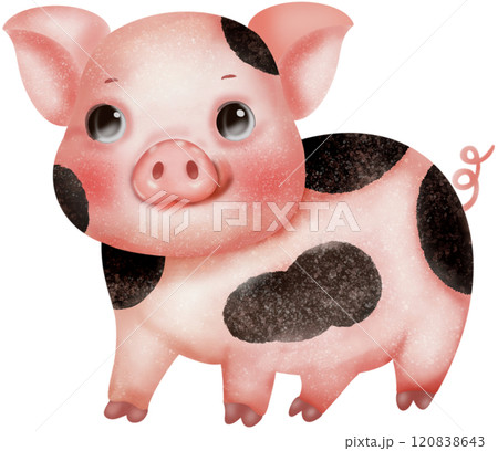 PIggy watercolor drawing  120838643