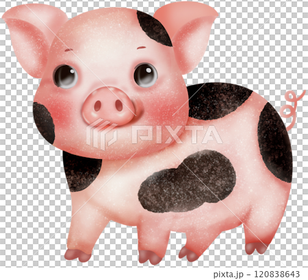 PIggy watercolor drawing  120838643