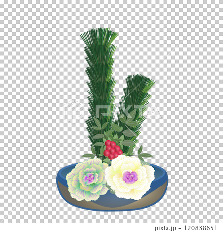 正月花のイラスト 120838651
