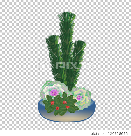 正月花のイラスト 正月花のイラスト 120838653