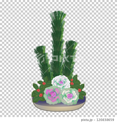 新年花圖 120838659