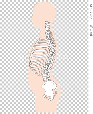 Rib gap, arched back, arched back posture 120838949