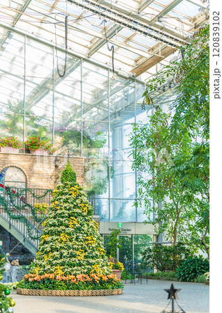 冬のはままつフラワーパーク、クリスマス展示〈静岡県浜松市〉 120839102