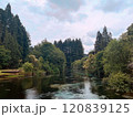 幻想的で美しい湖のある森の風景 120839125