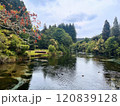 美しい湖のある風景 120839128