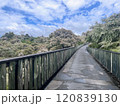 美しい橋の上の景色 120839130
