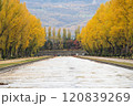 秋の紅葉がきれいな札幌市手稲前田森林公園 120839269