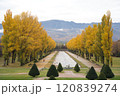 秋の紅葉がきれいな札幌市手稲前田森林公園 120839274