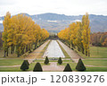 秋の紅葉がきれいな札幌市手稲前田森林公園 120839276