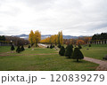 秋の紅葉がきれいな札幌市手稲前田森林公園 120839279