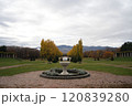 秋の紅葉がきれいな札幌市手稲前田森林公園 120839280