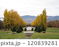 秋の紅葉がきれいな札幌市手稲前田森林公園 120839281