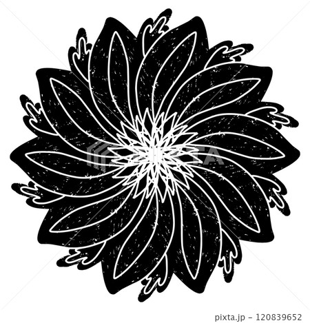 flower ink sketch isolated on white background 120839652