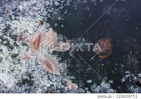 硫黄の源泉を覗いた。地球の底からふつふつと湧き出してくるエネルギー。不安と神秘。地球の終焉か？ 120839751