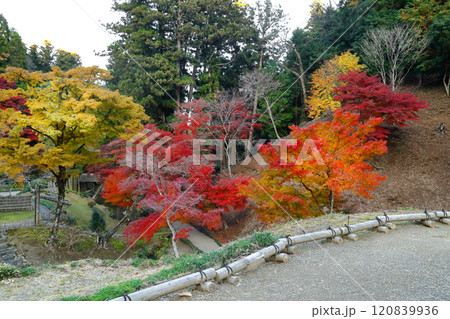 ロマンチック茨城(徳川光圀が愛した西山荘。春・夏・秋、美しい自然に包まれる。)常陸太田市、西山御殿 ロマンチック茨城(徳川光圀が愛した西山荘。春・夏・秋、美しい自然に包まれる。)常陸太田市、西山御殿 120839936