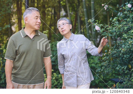 散歩中、美しく咲く花を見つけたシニア夫婦 120840348