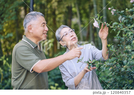 散歩中、美しく咲く花を見つけたシニア夫婦 散歩中、美しく咲く花を見つけたシニア夫婦 120840357