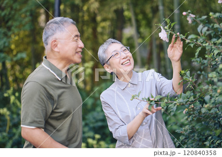 散歩中、美しく咲く花を見つけたシニア夫婦 散歩中、美しく咲く花を見つけたシニア夫婦 120840358
