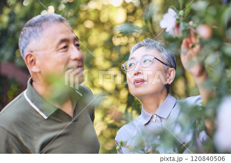 綺麗に咲く花の様子を楽しむシニア夫婦 120840506
