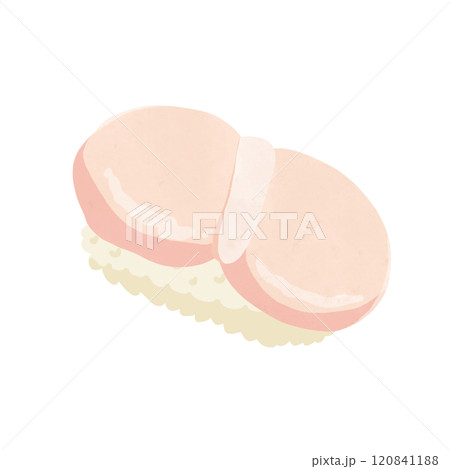 ホタテの寿司1貫　水彩風手描きイラスト 120841188