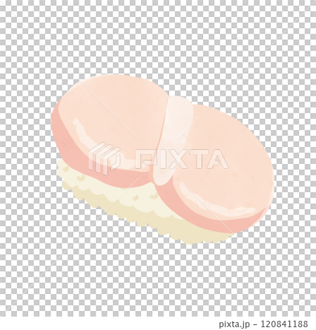 ホタテの寿司1貫　水彩風手描きイラスト 120841188