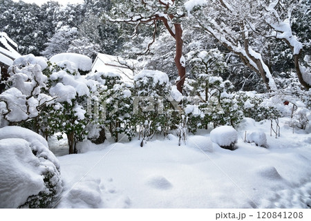 雪の積もった二尊院の本堂の庭園 雪の積もった二尊院の本堂の庭園 120841208