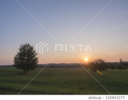 Orange sunset over green summer meadow and forest with alone cherry tree and deciduous tree alley, clear sky background, Countryside landscape, copy space, Kokorin region, central Bohemia Orange sunset over green summer meadow and forest with alone cherry tree and deciduous tree alley, clear sky background, Countryside landscape, copy space, Kokorin region, central Bohemia 120841273