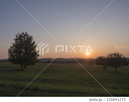 Orange sunset over green summer meadow and forest with alone cherry tree and deciduous tree alley, clear sky background, Countryside landscape, copy space, Kokorin region, central Bohemia Orange sunset over green summer meadow and forest with alone cherry tree and deciduous tree alley, clear sky background, Countryside landscape, copy space, Kokorin region, central Bohemia 120841275