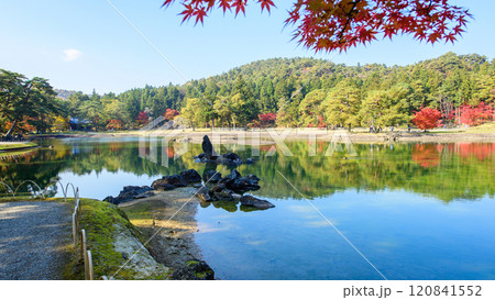 秋の毛越寺浄土庭園 大泉が池と池中立石 岩手県 秋の毛越寺浄土庭園 大泉が池と池中立石 岩手県 120841552