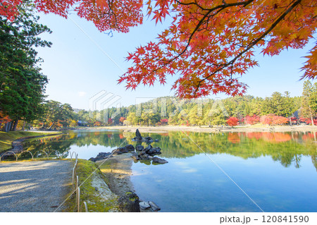 秋の毛越寺浄土庭園 大泉が池と池中立石 岩手県 秋の毛越寺浄土庭園 大泉が池と池中立石 岩手県 120841590