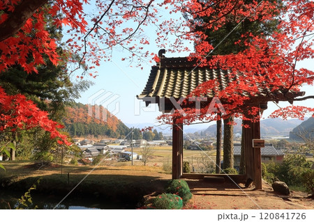 京都   　　南丹市 　   龍穏寺　　   紅葉 　　  2024　  園部　秋　もみじ　赤　紅　 120841726