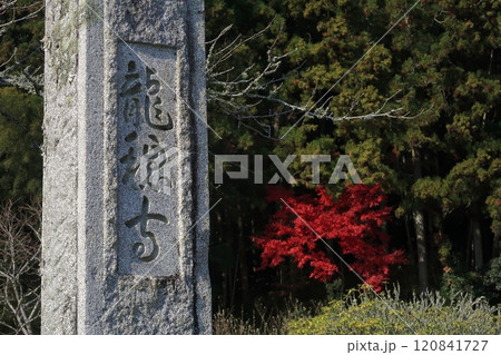京都   　　南丹市 　   龍穏寺　　   紅葉 　　  2024　  園部　秋　もみじ　赤　紅　 120841727