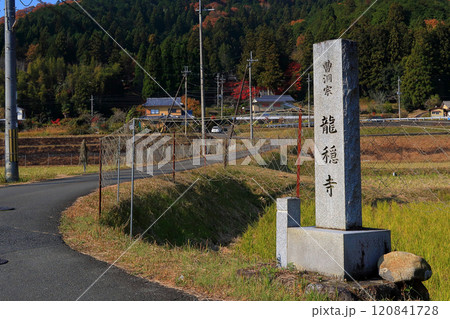 京都   　　南丹市 　   龍穏寺　　   紅葉 　　  2024　  園部　秋　もみじ　赤　紅　 120841728