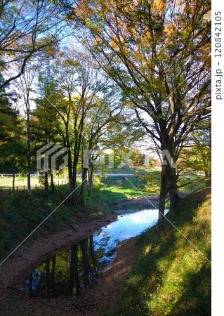 埼玉県寄居町にある鉢形城跡の秋の風景 埼玉県寄居町にある鉢形城跡の秋の風景 120842105